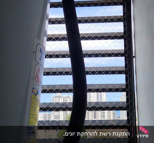 התקנת רשת שקופה להרחקת יונים במסתור כביסה